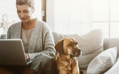 Managing SAFF Files for Payday Super – Reckon Accounts